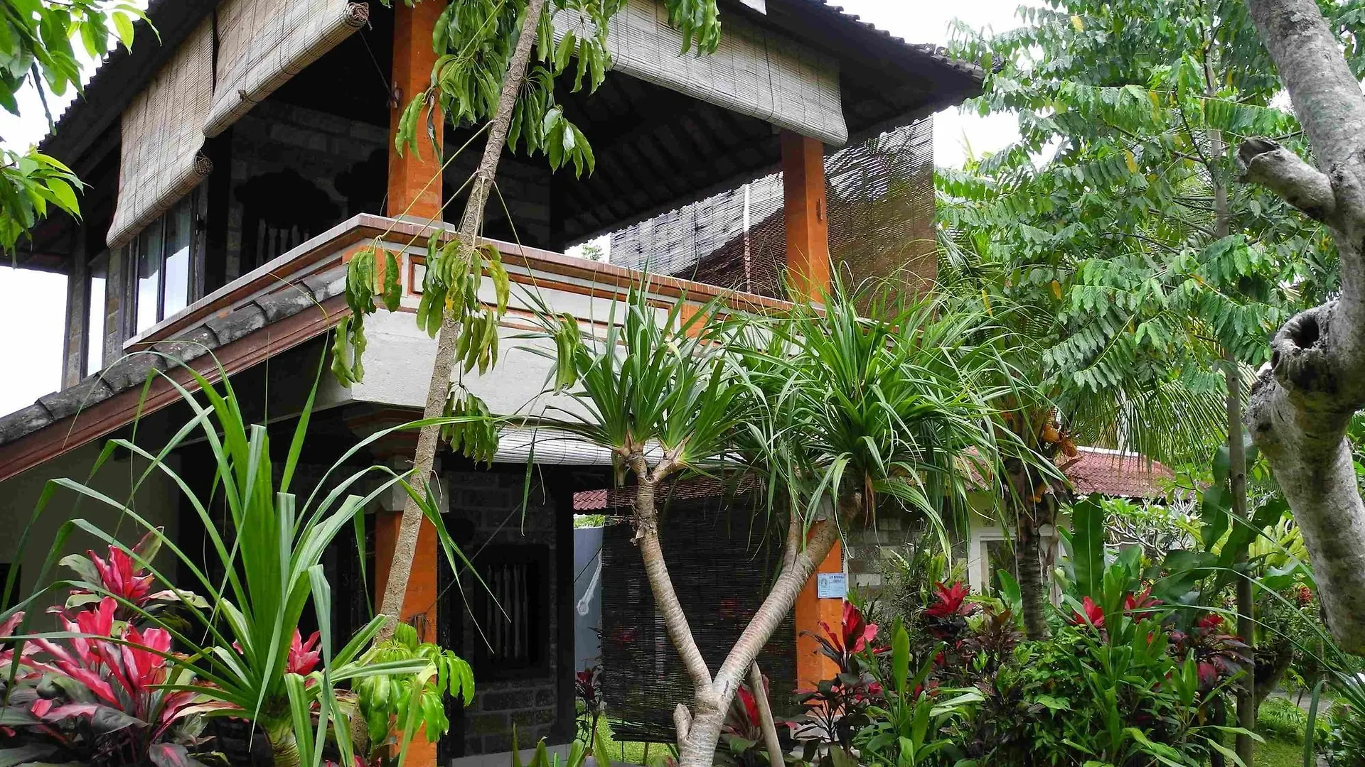 Guest house Recep Bungalow Ubud