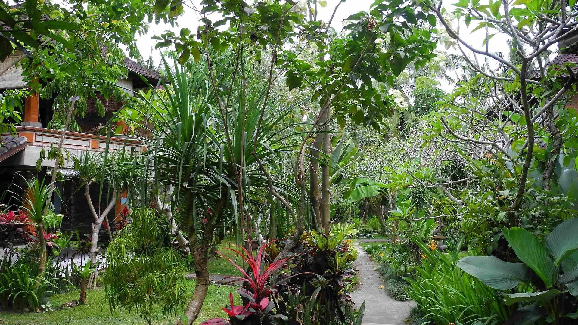 Recep Bungalow Ubud  Guest house