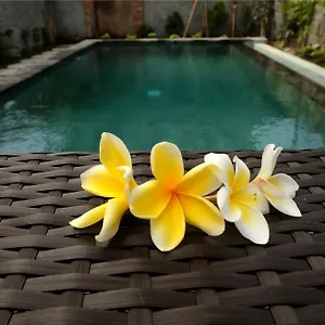 Eka Bali Gasthof